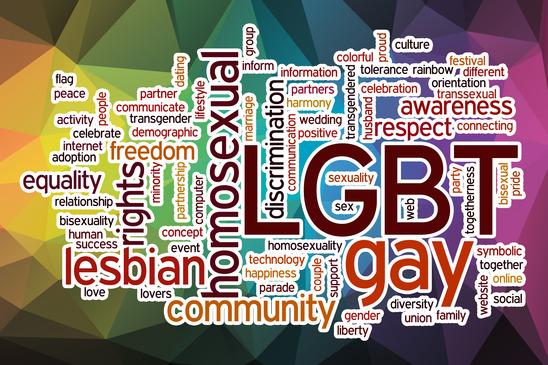 Recreating Outsiders: A Response to LGBT-Identity Politics